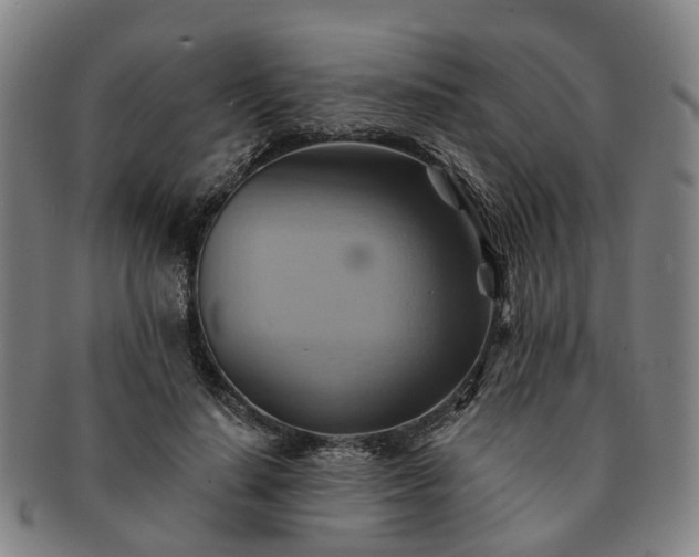 X0000091580644200708271221