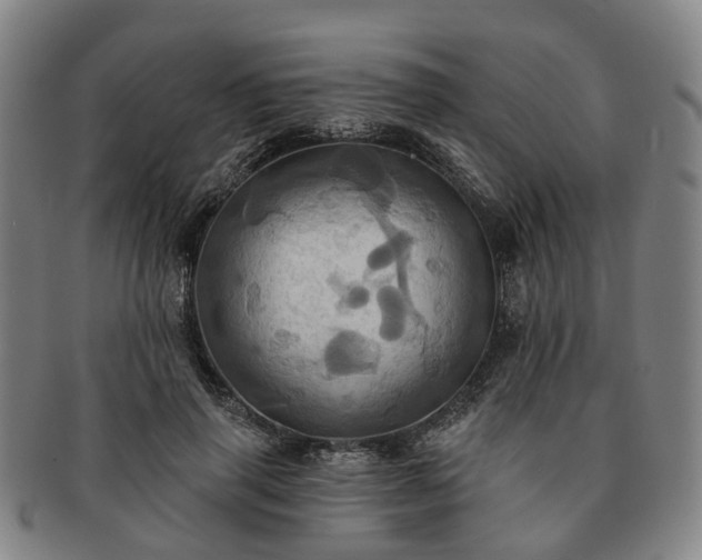 X0000091580645200708271221