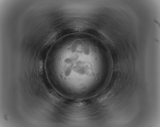 X0000091580646200708271221