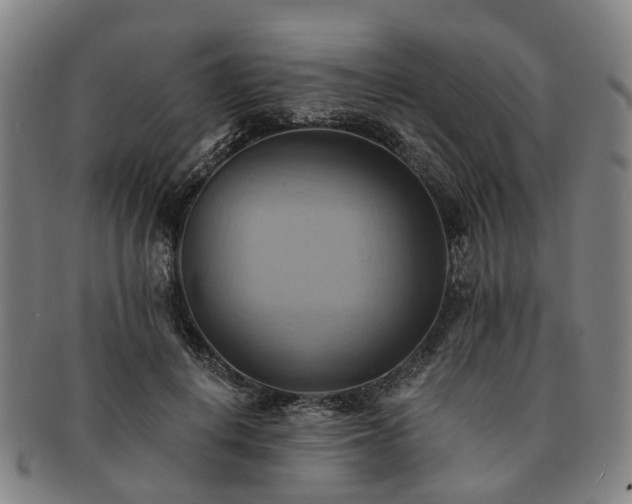 X0000091580648200708271221