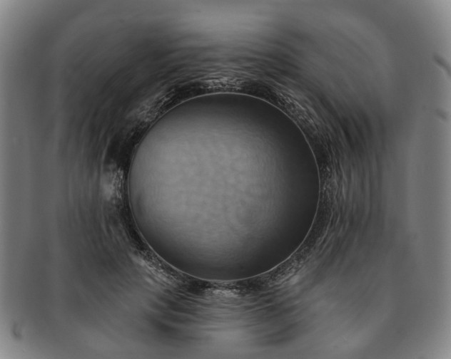 X0000091580649200708271221