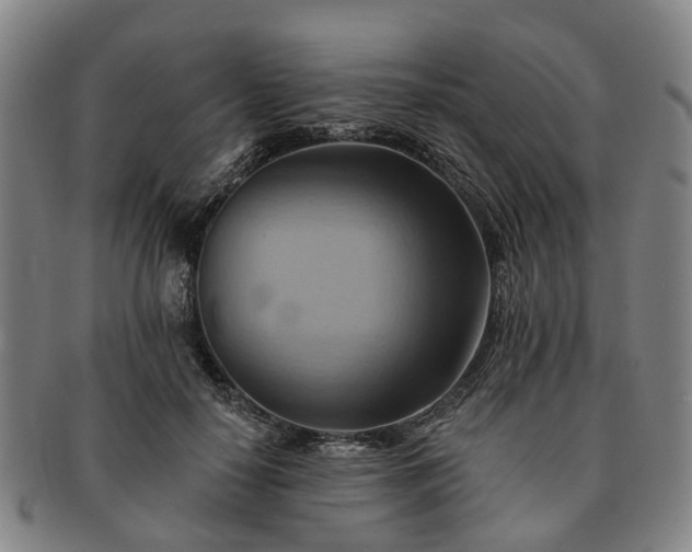 X0000091580650200708271221