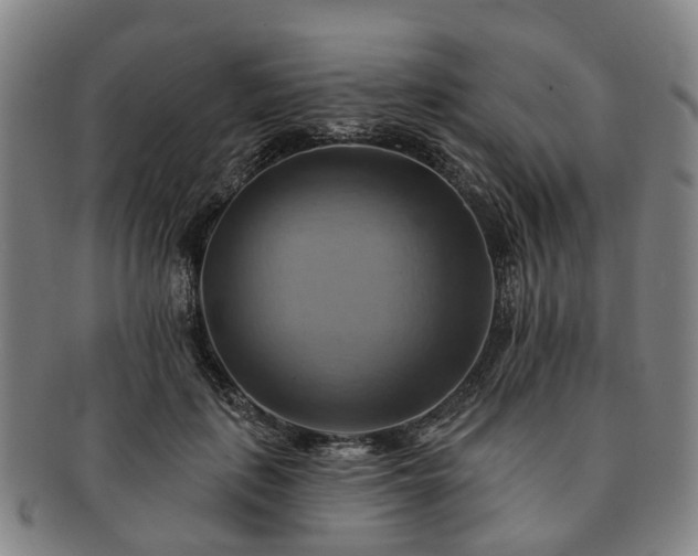 X0000091580651200708271221