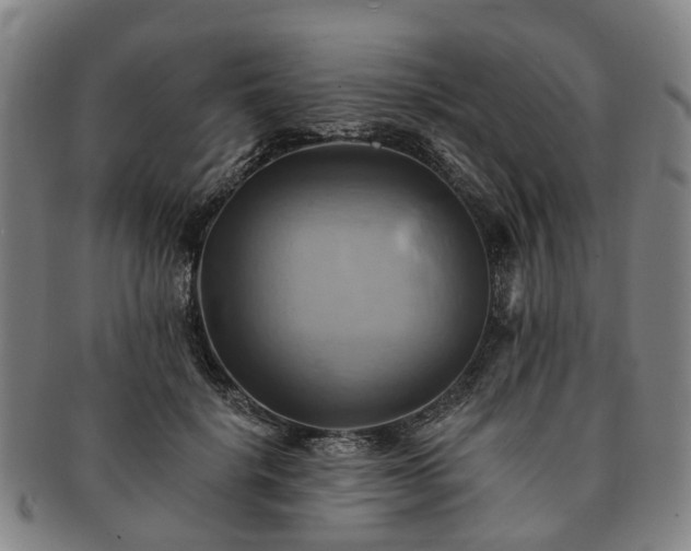 X0000091580652200708271221