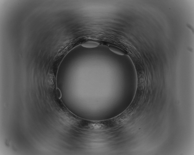 X0000091580654200708271221