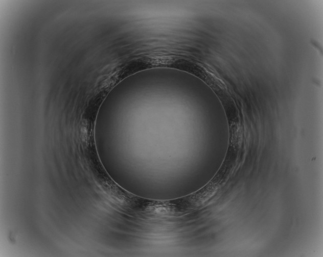 X0000091580655200708271221