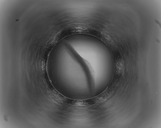 X0000091580657200708271221