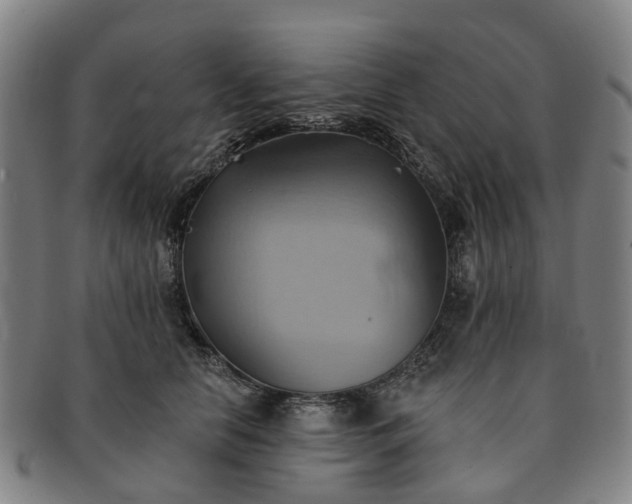 X0000091580658200708271221