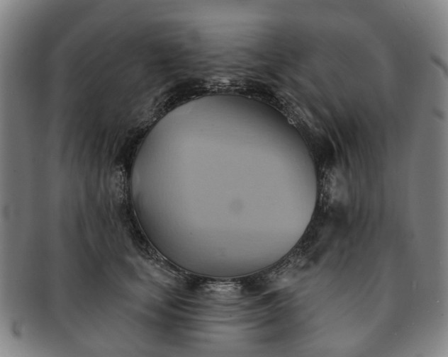X0000091580659200708271221