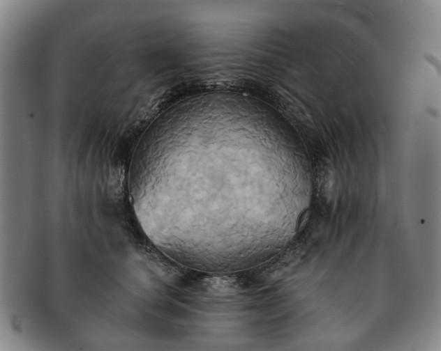 X0000091580660200708271221