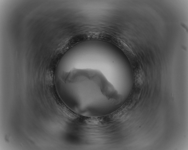 X0000091580661200708271221