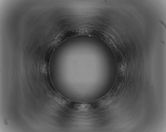 X0000091580663200708271221