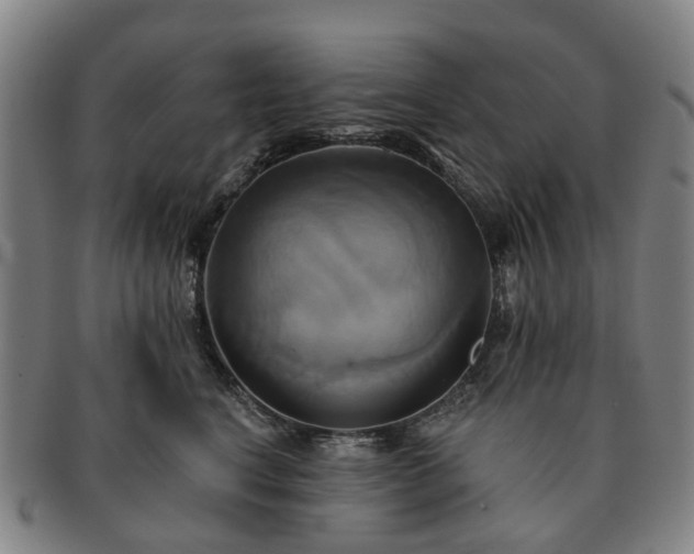 X0000091580664200708271221