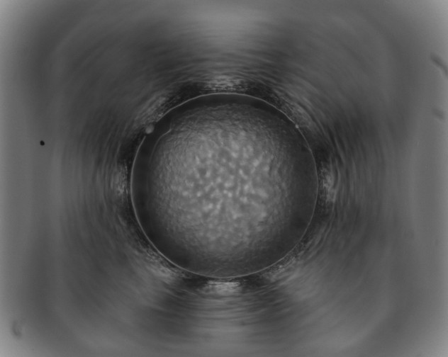 X0000091580665200708271221