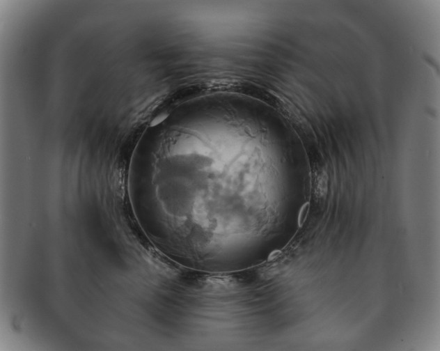 X0000091580666200708271221