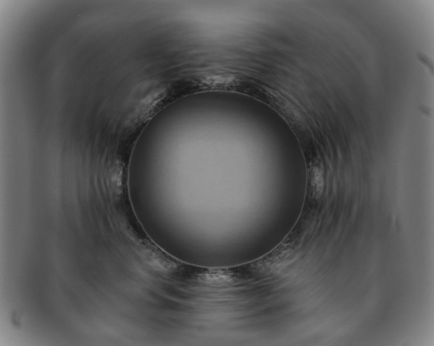 X0000091580668200708271221