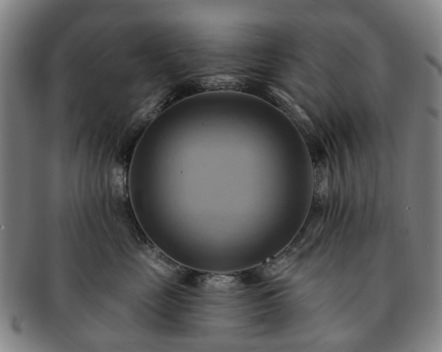 X0000091580669200708271221