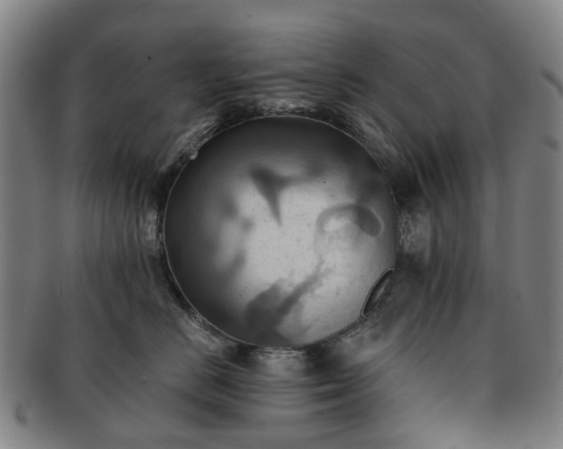 X0000091580670200708271221