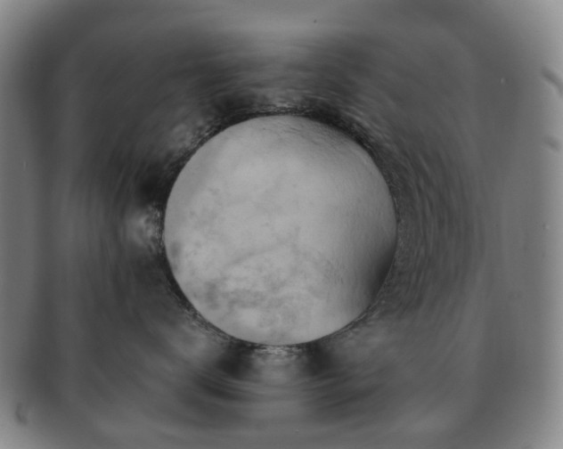 X0000091580672200708271221