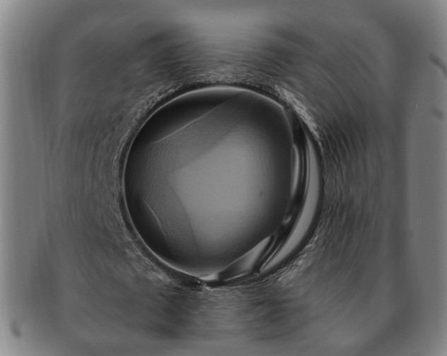 X0000091580673200708271220