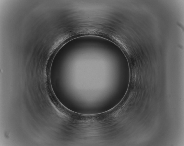X0000091580674200708271220