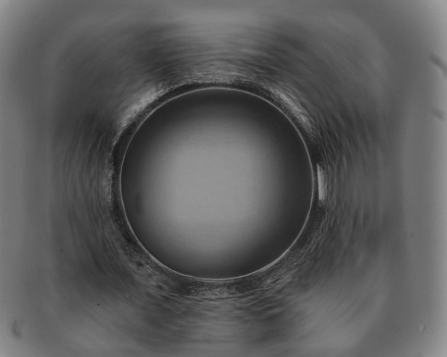 X0000091580675200708271220