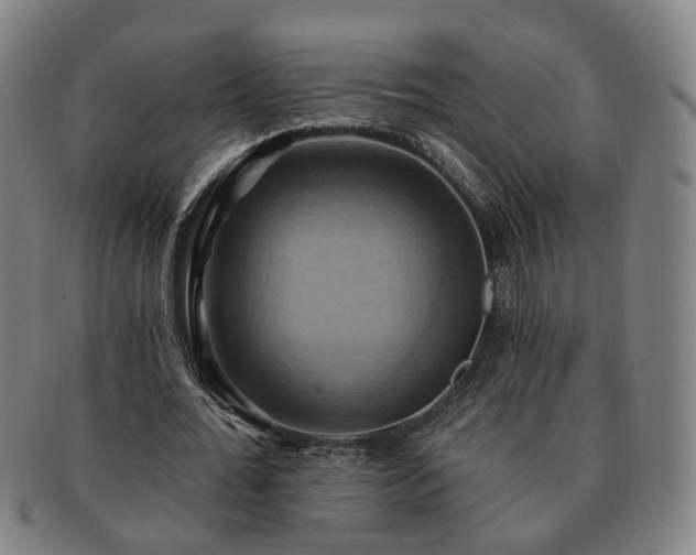 X0000091580676200708271220