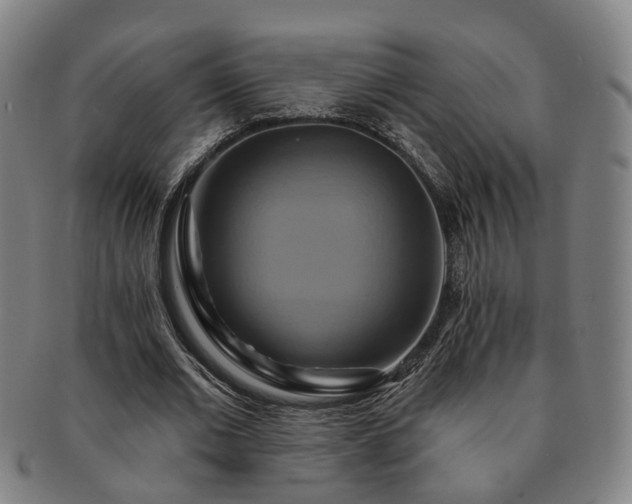 X0000091580677200708271220