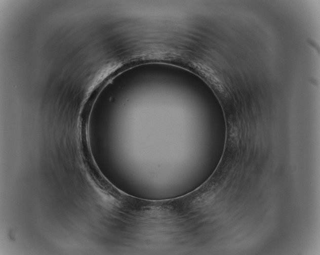 X0000091580678200708271220