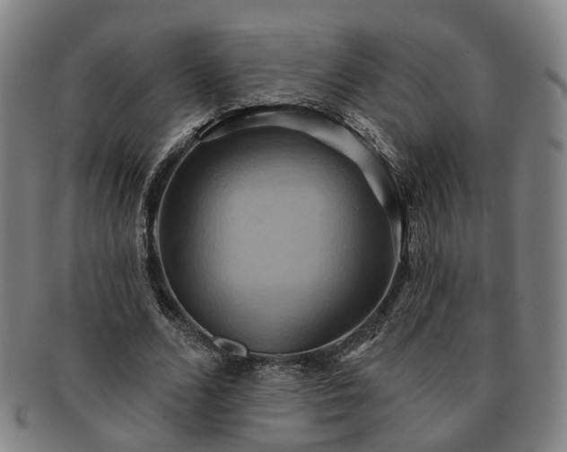 X0000091580680200708271220