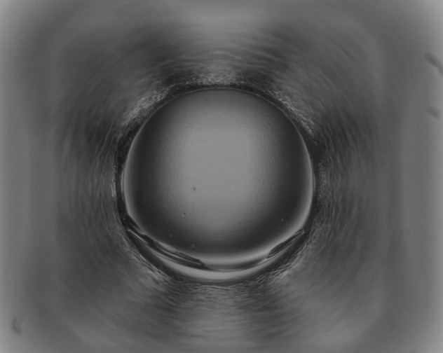 X0000091580681200708271220