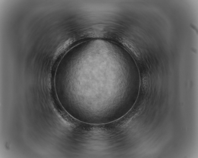 X0000091580682200708271220