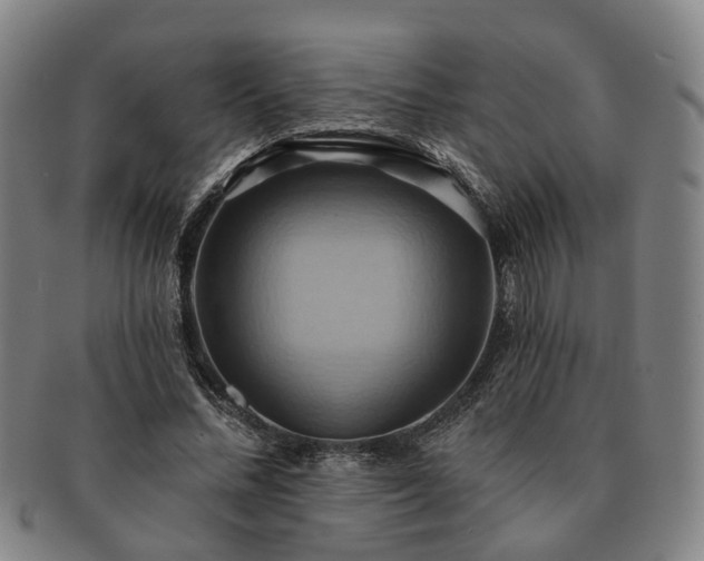 X0000091580684200708271220