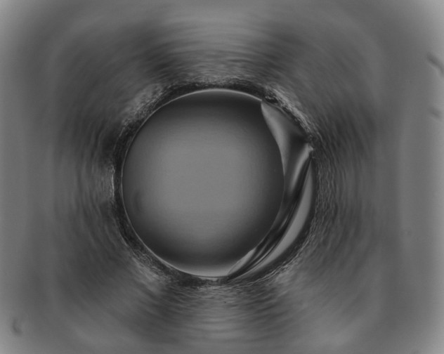 X0000091580685200708271220