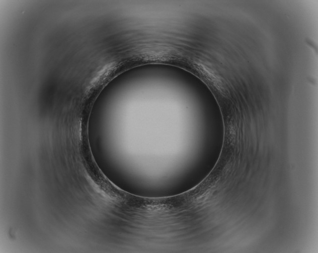 X0000091580686200708271220