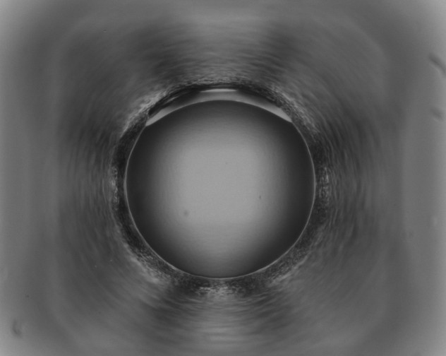 X0000091580688200708271220