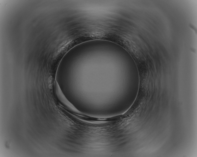 X0000091580689200708271220
