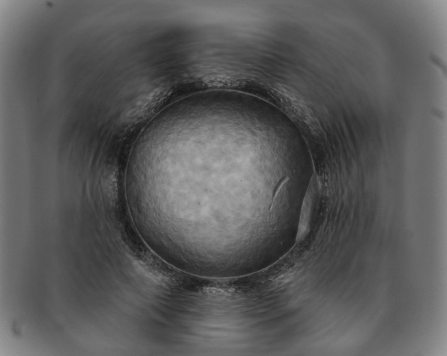 X0000091580690200708271220