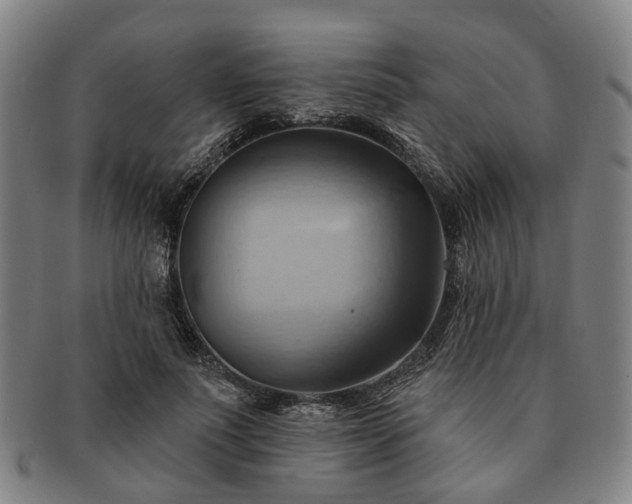 X0000091580691200708271220