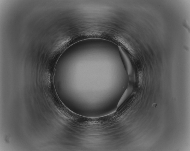 X0000091580692200708271220