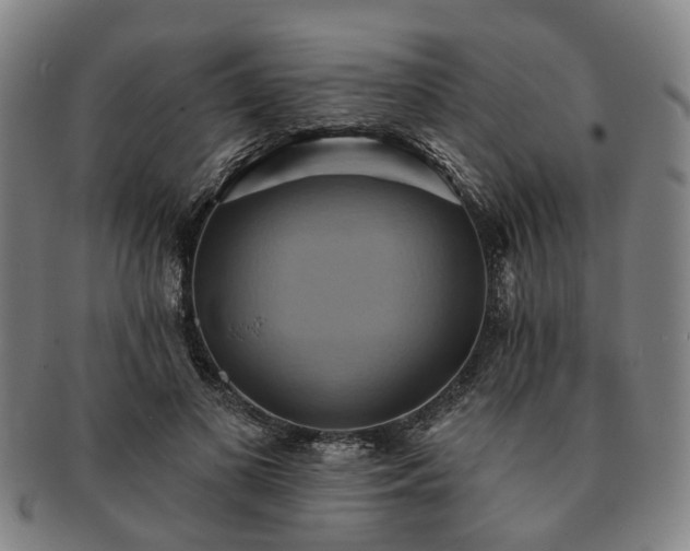 X0000091580693200708271220