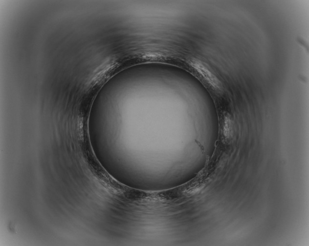 X0000091580696200708271220