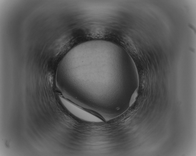 X0000091580697200708271220