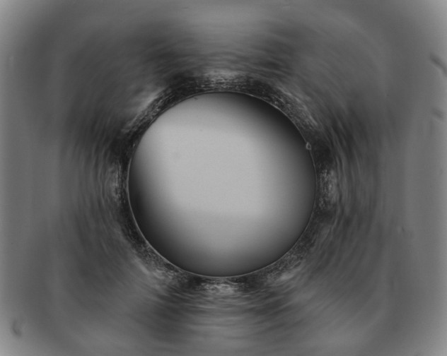 X0000091580698200708271220