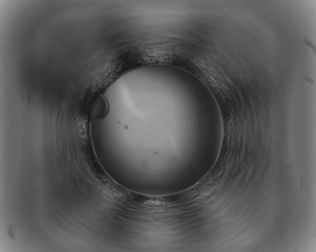 X0000091580699200708271220
