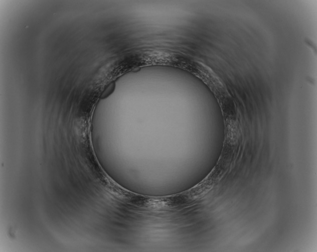X0000091580701200708271220