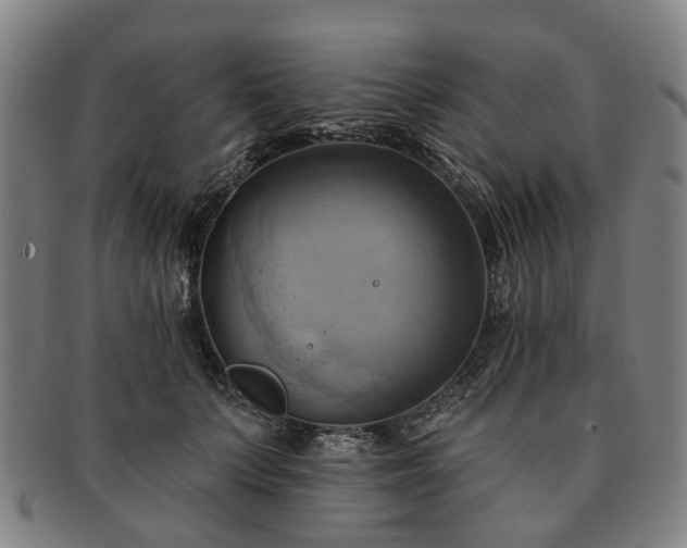X0000091580703200708271220