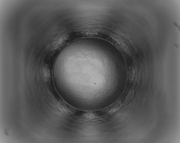X0000091580704200708271220