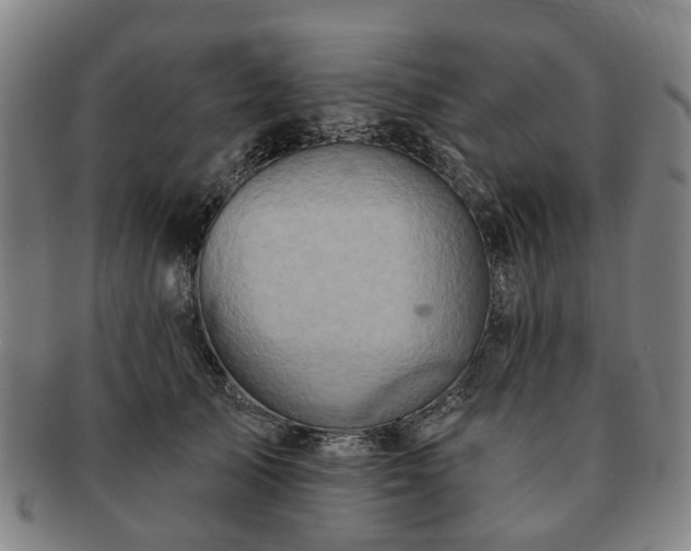 X0000091580705200708271220