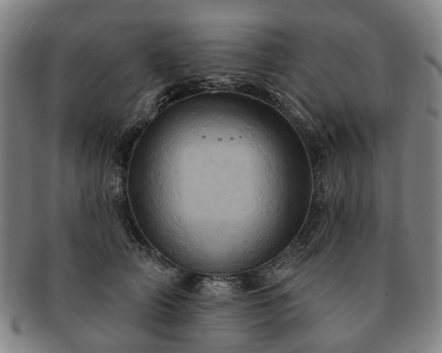 X0000091580706200708271220